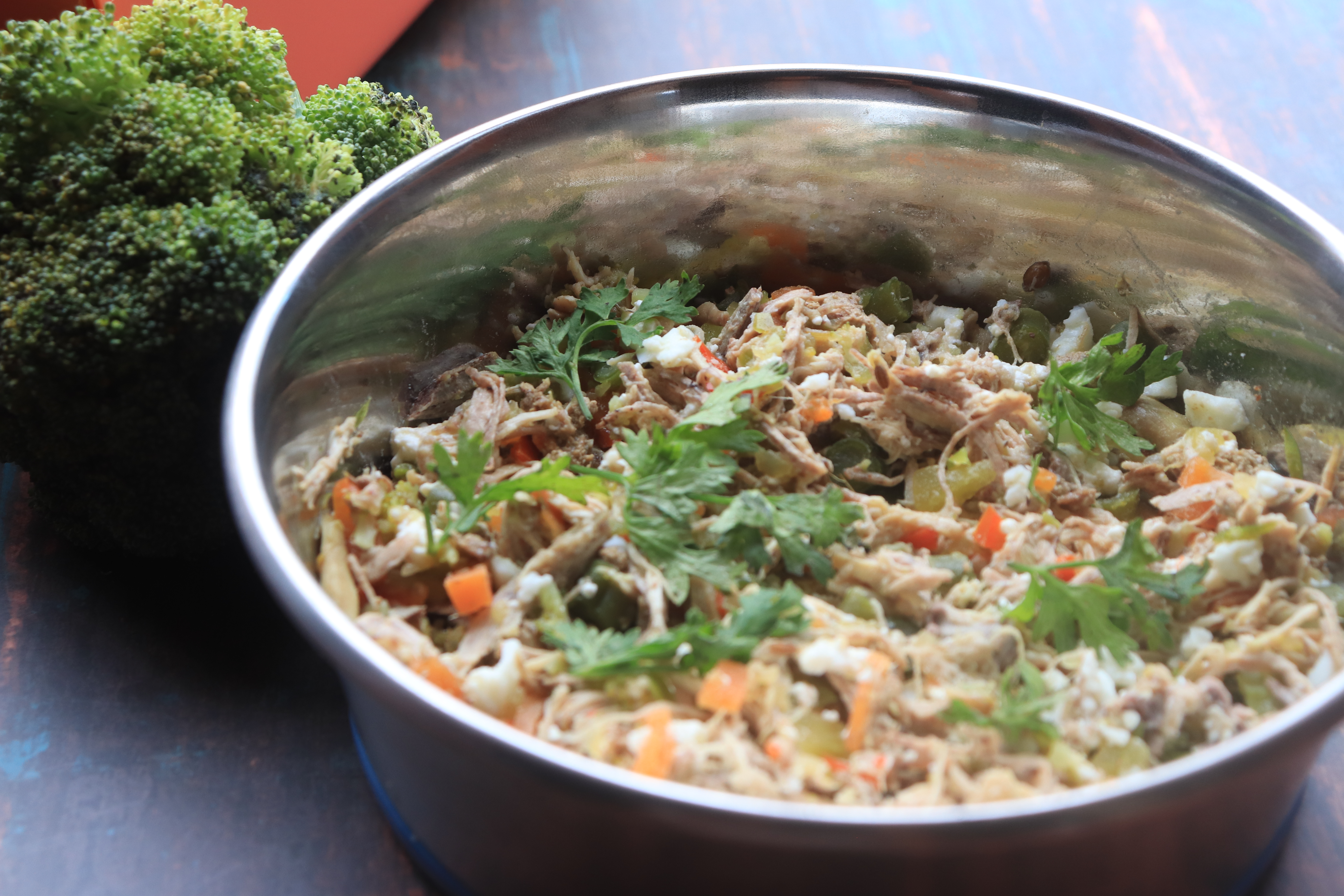 Doggit Fresh Food Consultation